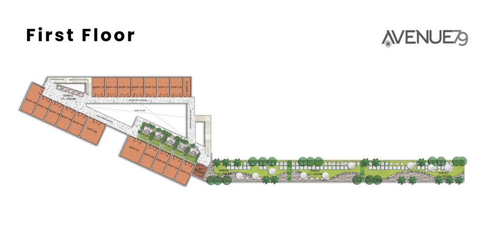 avenue 11